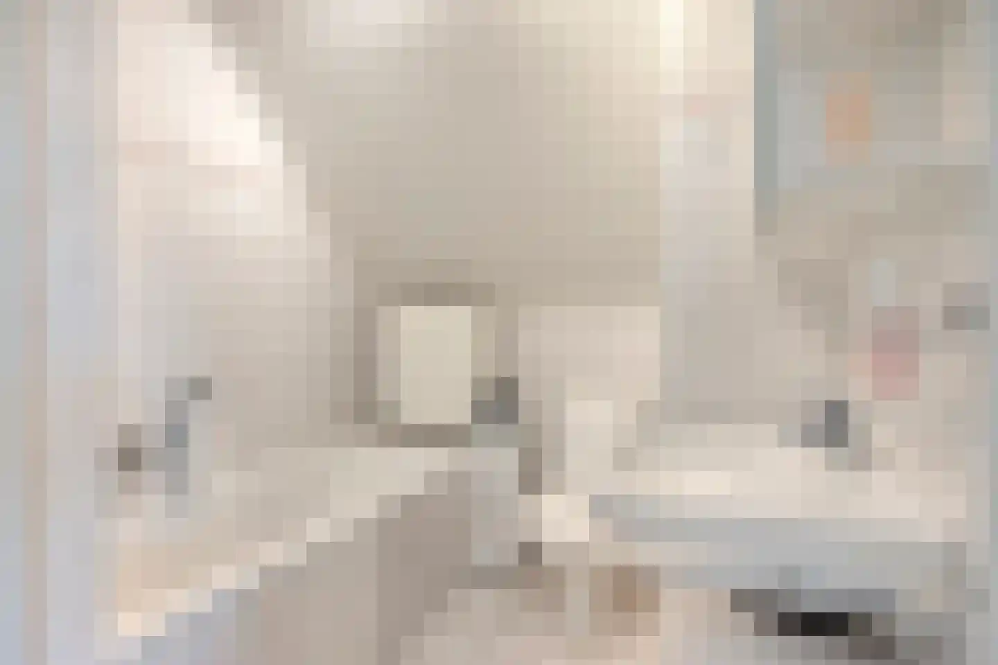 Elisabethstraat 22 Uden thumbnail 5