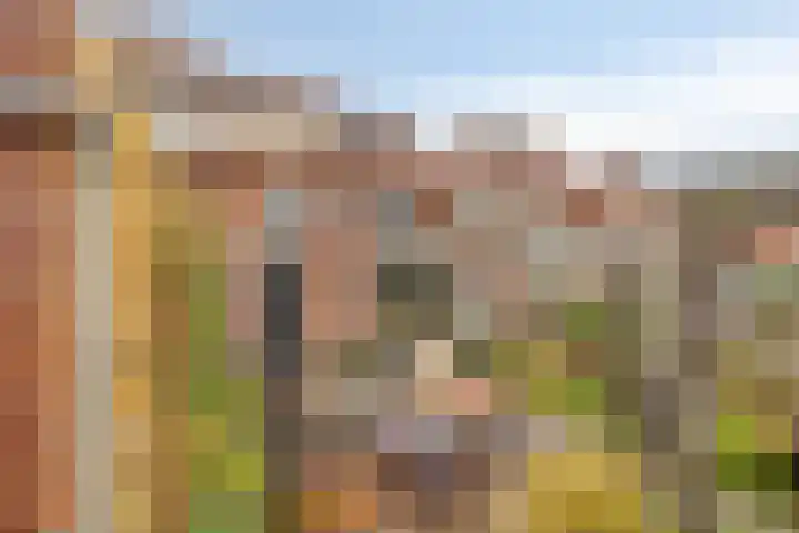 Elisabethstraat 3 Uden thumbnail 31