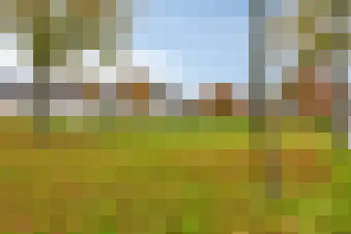Elisabethstraat 3 Uden thumbnail 33
