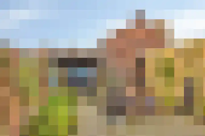 Elisabethstraat 3 Uden thumbnail 4
