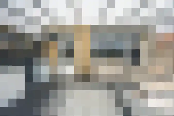 Elisabethstraat 37 Uden thumbnail 29