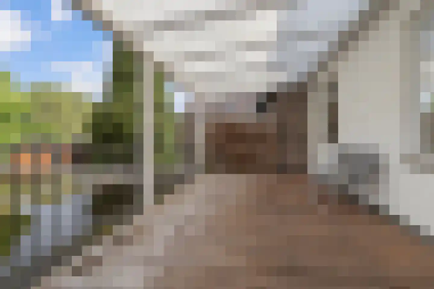 Elisabethstraat 9 A Geleen thumbnail 21