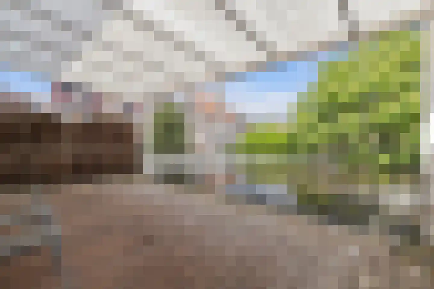 Elisabethstraat 9 A Geleen thumbnail 23