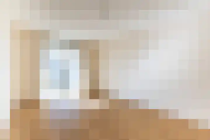 Elisabethtuinen 13 Alkmaar thumbnail 16