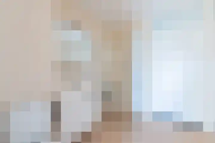 Elisabethtuinen 13 Alkmaar thumbnail 17