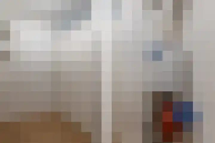 Elisabethtuinen 13 Alkmaar thumbnail 28