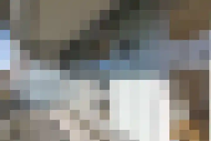 Elisabethtuinen 13 Alkmaar thumbnail 29
