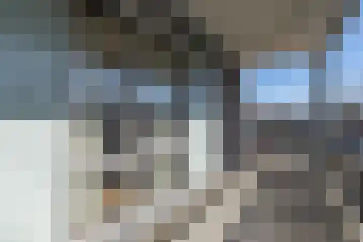 Elisabethtuinen 13 Alkmaar thumbnail 32