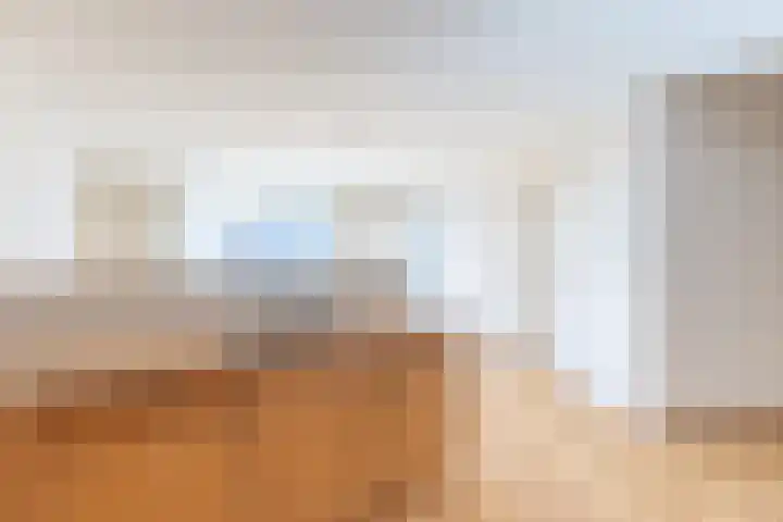 Elisabethtuinen 13 Alkmaar thumbnail 6