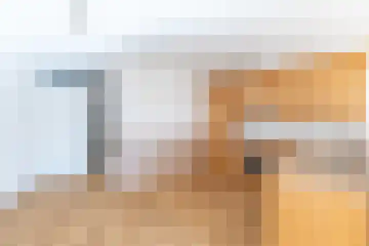 Elisabethtuinen 13 Alkmaar thumbnail 7