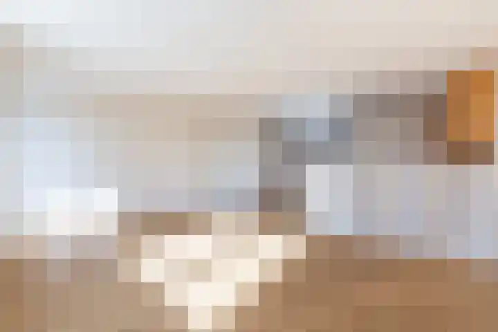 Elisabethtuinen 13 Alkmaar thumbnail 9