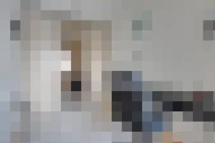 Elisabethtuinen 19 Alkmaar thumbnail 10