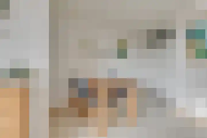 Elisabethtuinen 19 Alkmaar thumbnail 11