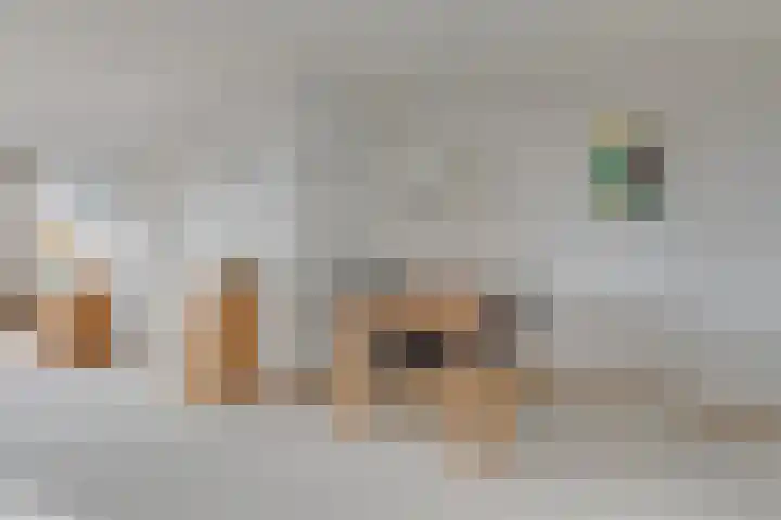 Elisabethtuinen 19 Alkmaar thumbnail 12