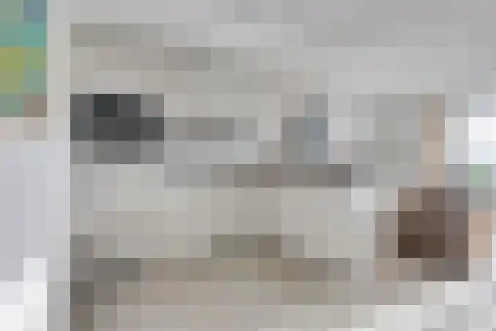Elisabethtuinen 19 Alkmaar thumbnail 13