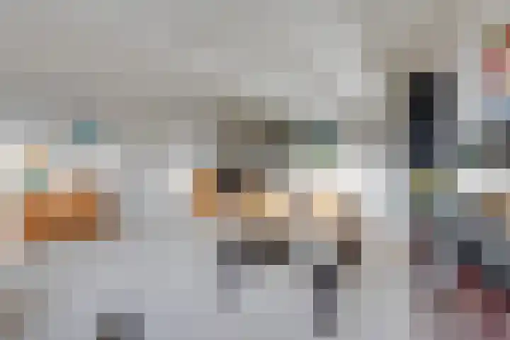 Elisabethtuinen 19 Alkmaar thumbnail 19