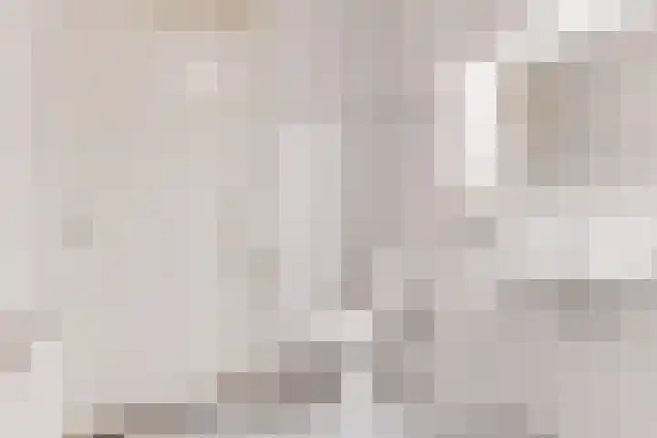 Elisabethtuinen 19 Alkmaar thumbnail 26