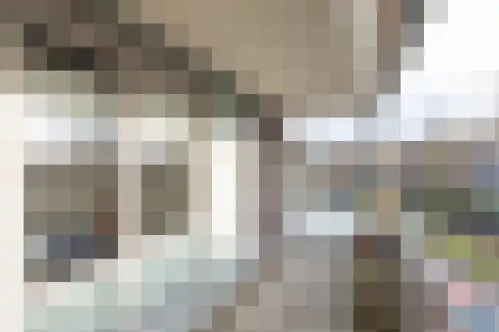 Elisabethtuinen 19 Alkmaar thumbnail 28