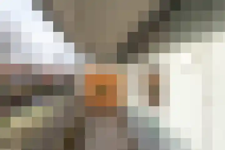 Elisabethtuinen 19 Alkmaar thumbnail 29