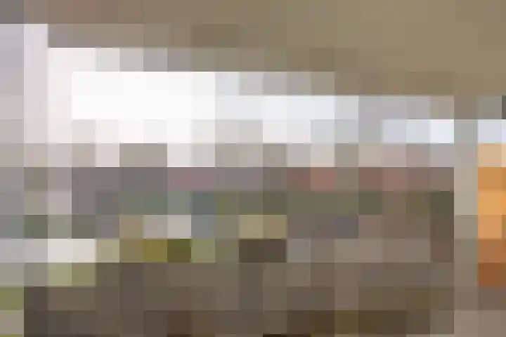 Elisabethtuinen 19 Alkmaar thumbnail 30
