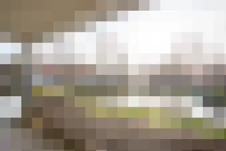 Elisabethtuinen 19 Alkmaar thumbnail 4