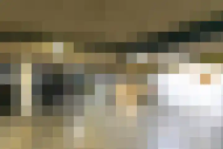 Elisabethtuinen 19 Alkmaar thumbnail 40
