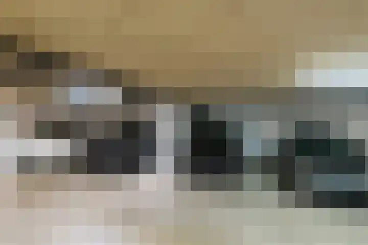 Elisabethtuinen 19 Alkmaar thumbnail 41