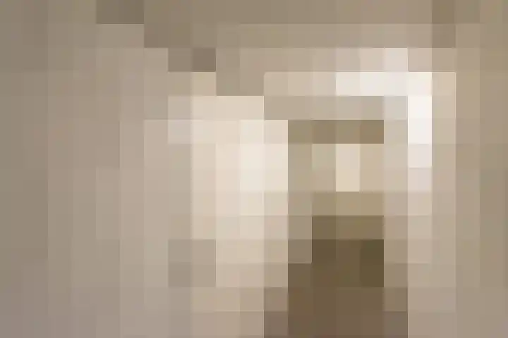 Elisabethtuinen 19 Alkmaar thumbnail 42