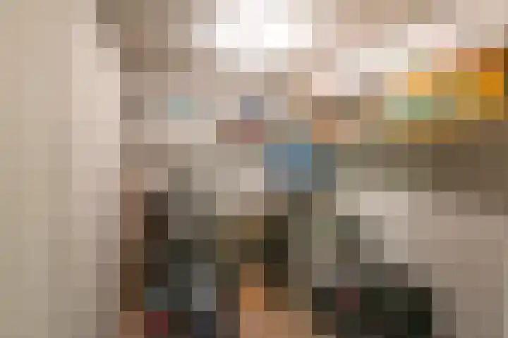 Elisabethtuinen 19 Alkmaar thumbnail 43