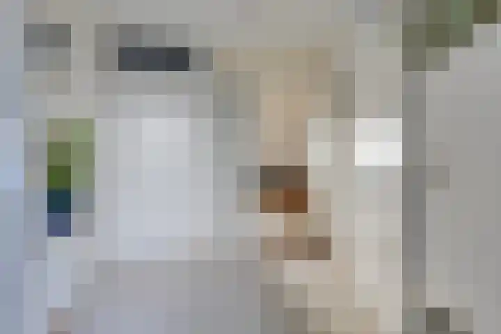 Elisabethtuinen 19 Alkmaar thumbnail 6