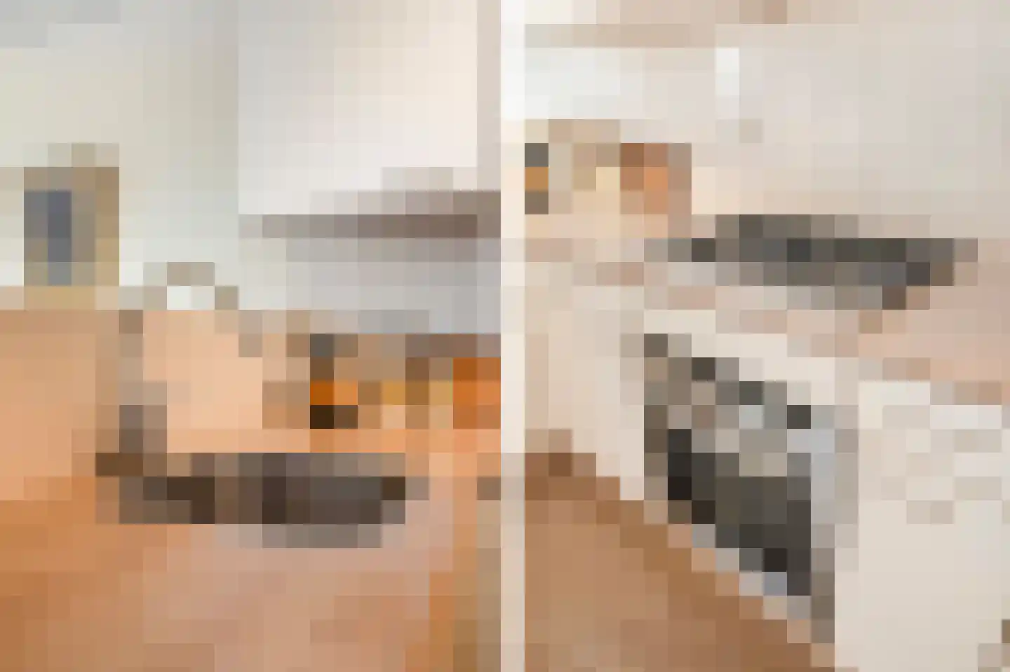 Elisabethtuinen 38 Alkmaar thumbnail 16