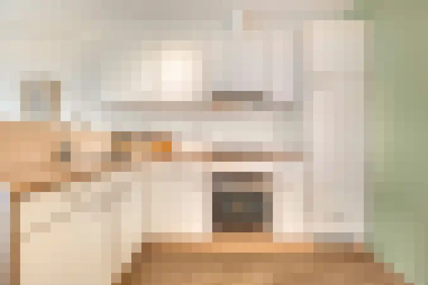 Elisabethtuinen 38 Alkmaar thumbnail 17