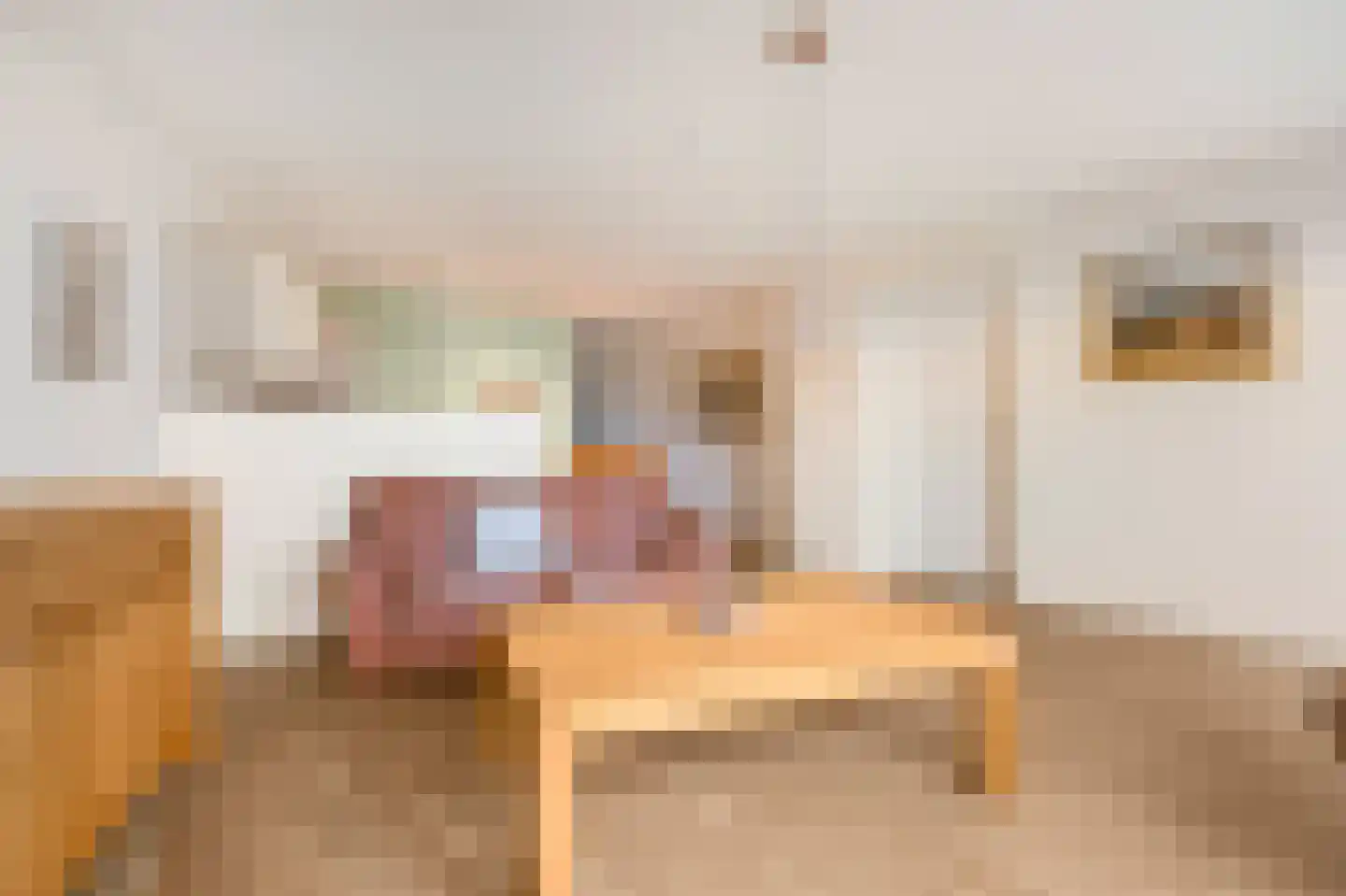 Elisabethtuinen 38 Alkmaar thumbnail 19