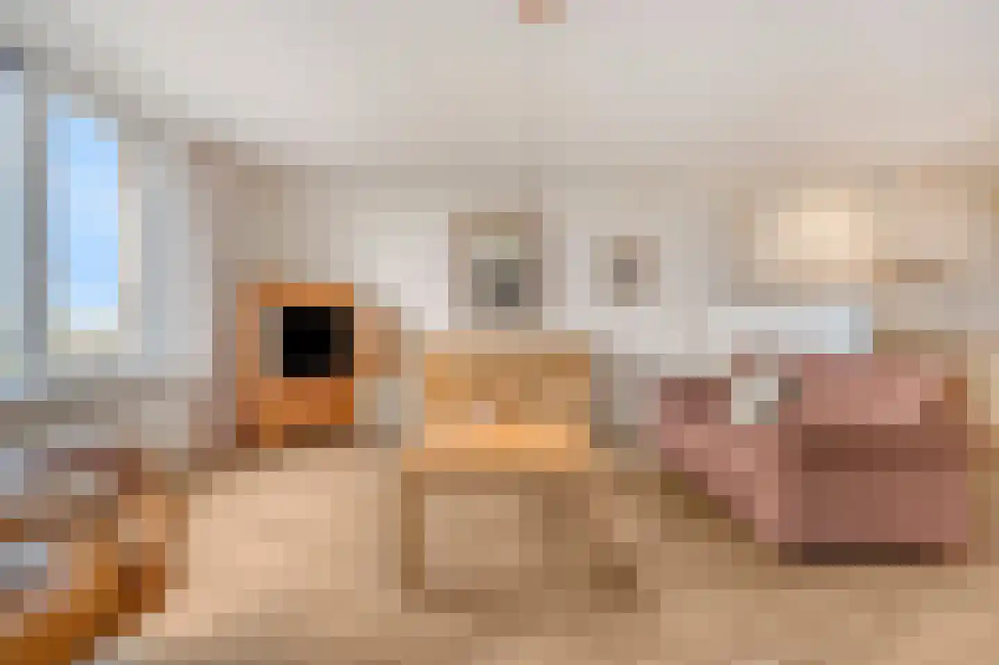 Elisabethtuinen 38 Alkmaar thumbnail 20