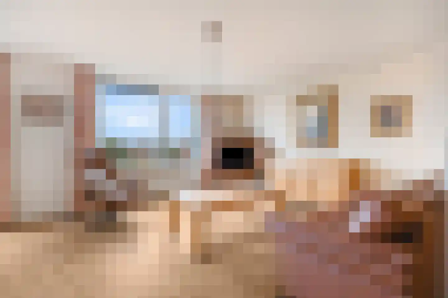 Elisabethtuinen 38 Alkmaar thumbnail 22