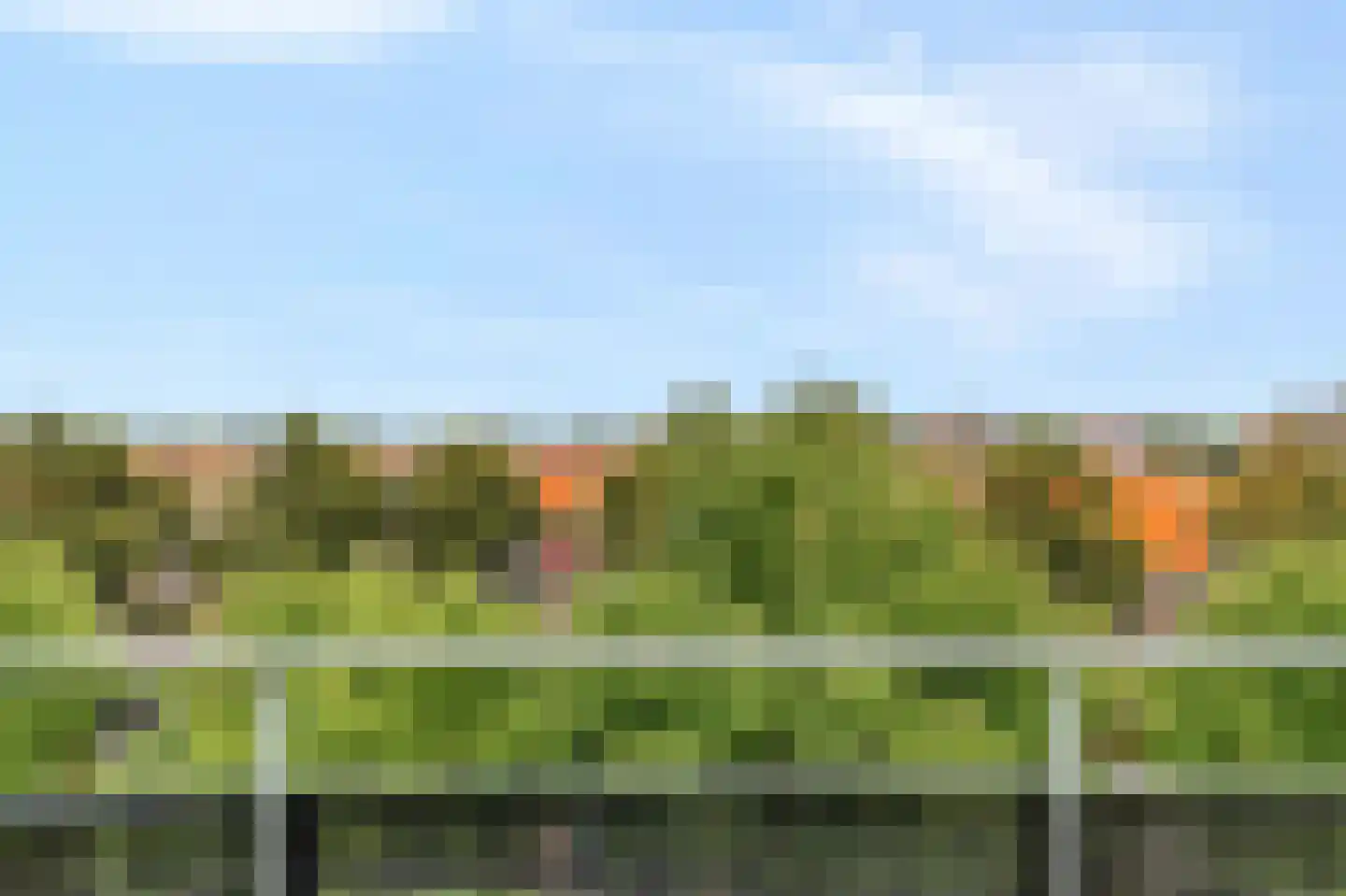Elisabethtuinen 38 Alkmaar thumbnail 24