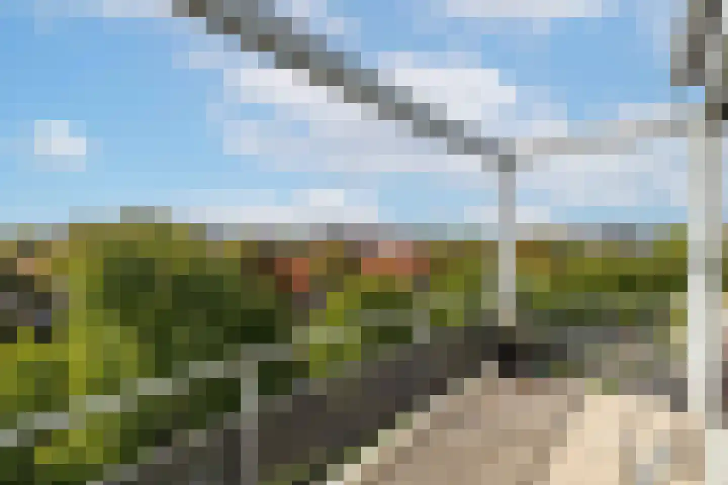 Elisabethtuinen 38 Alkmaar thumbnail 4