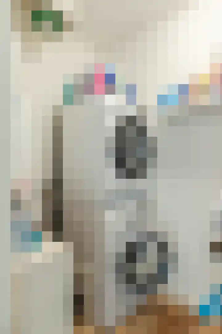 Elisabethtuinen 39 Alkmaar thumbnail 10