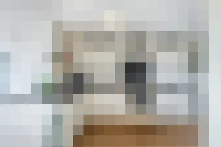 Elisabethtuinen 39 Alkmaar thumbnail 17