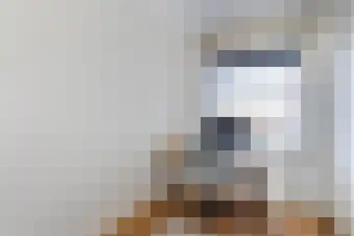 Elisabethtuinen 39 Alkmaar thumbnail 22