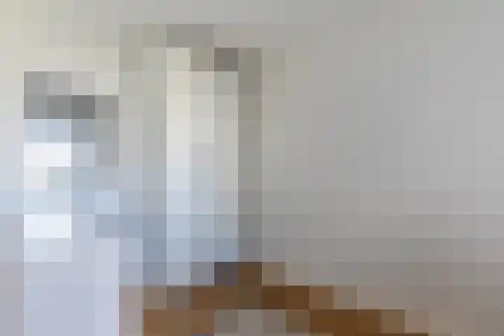 Elisabethtuinen 39 Alkmaar thumbnail 23