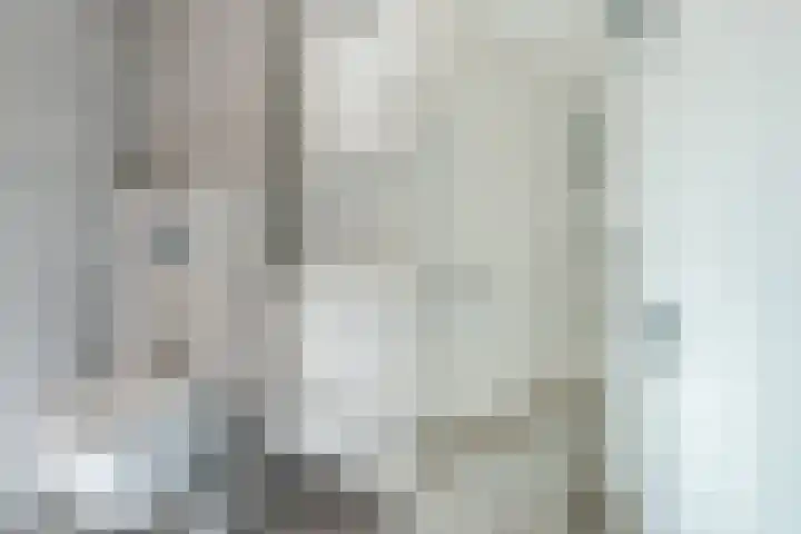 Elisabethtuinen 39 Alkmaar thumbnail 25