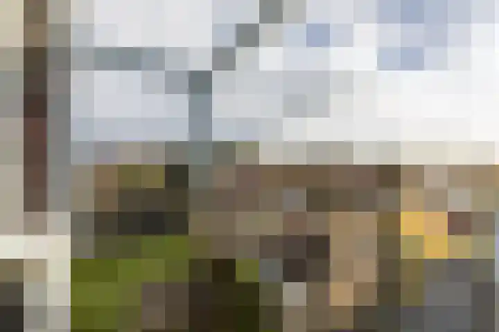 Elisabethtuinen 39 Alkmaar thumbnail 27
