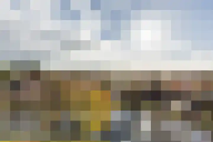 Elisabethtuinen 39 Alkmaar thumbnail 28