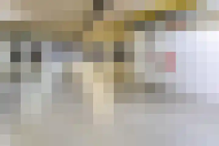 Elisabethtuinen 39 Alkmaar thumbnail 30