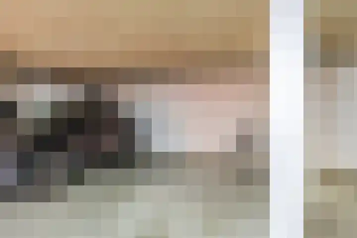Elisabethtuinen 39 Alkmaar thumbnail 31