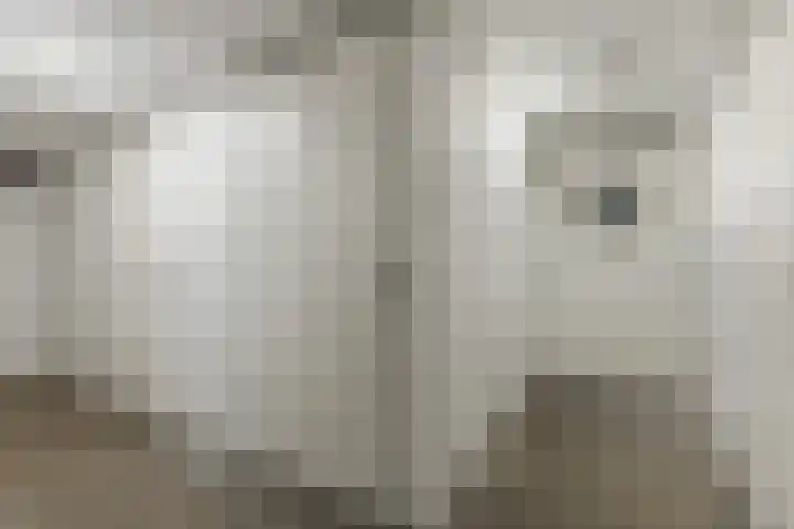 Elisabethtuinen 39 Alkmaar thumbnail 32