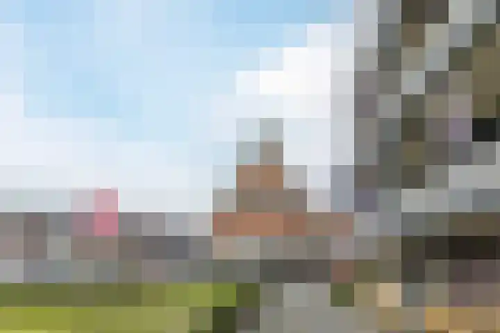 Elisabethtuinen 39 Alkmaar thumbnail 33