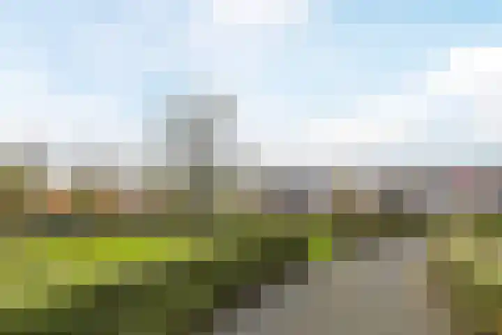 Elisabethtuinen 39 Alkmaar thumbnail 34