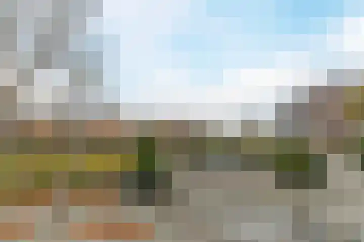 Elisabethtuinen 39 Alkmaar thumbnail 35